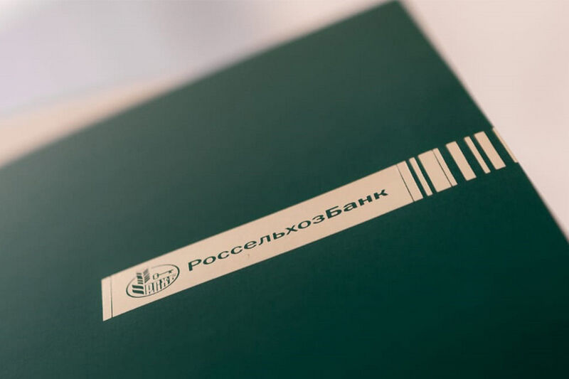 Россельхозбанк выдал свыше 1 миллиарда рублей сельской ипотеки в Челябинской и Курганской областях