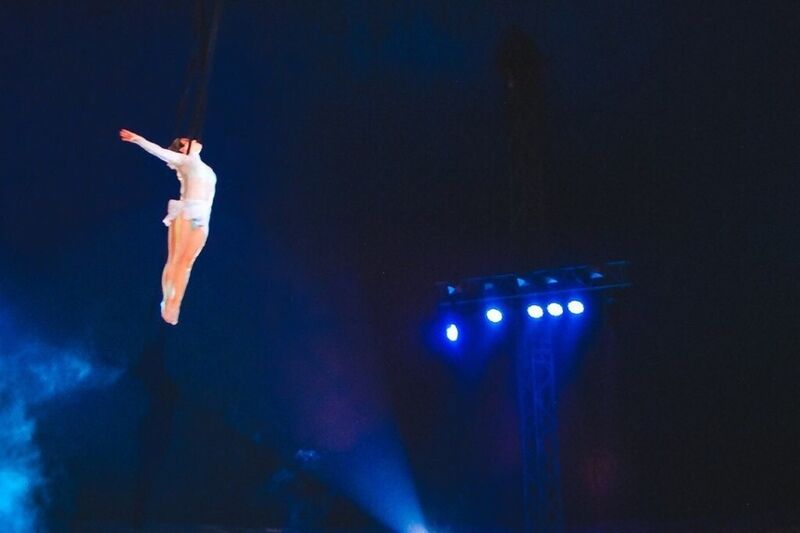 Цирк, застрявший под Курганом на полгода из-за пандемии, начал давать представления