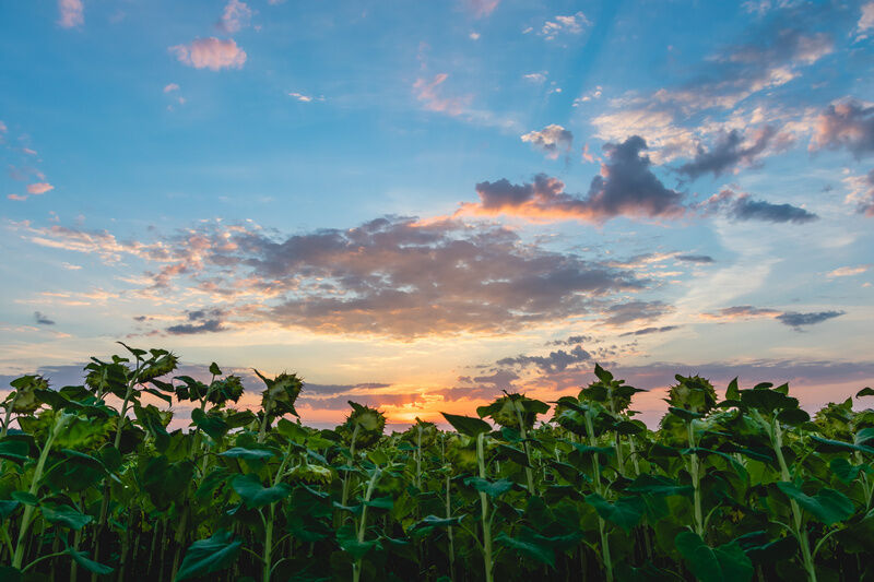 В Кургане подвели итоги фотоконкурса «Красота родного края»