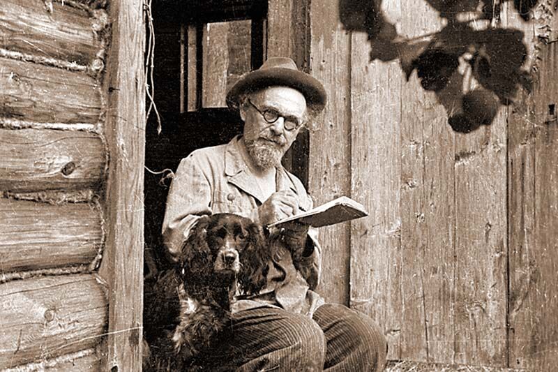 Не «Лисичкиным хлебом» единым