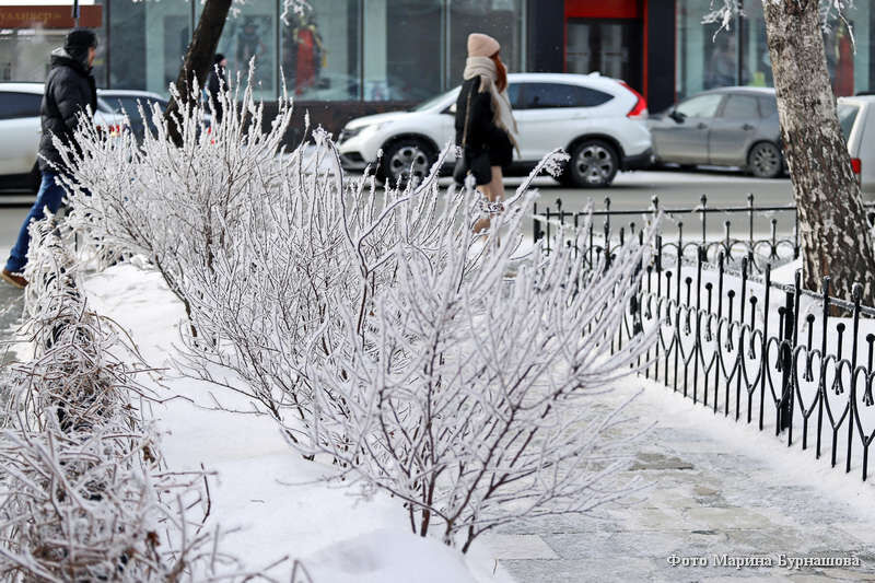 В Кургане отменили занятия второй смены — с 1 по 2 класс