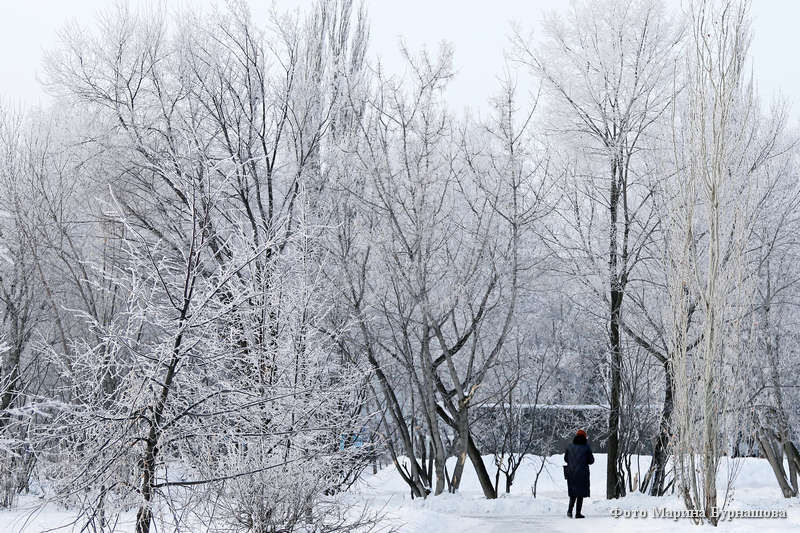 Курганцам предлагают сделать фото зимнего города и леса