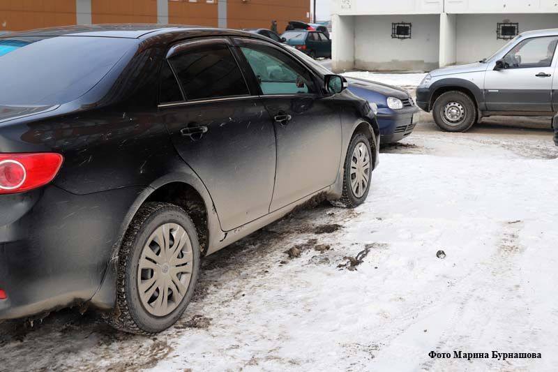 курган новости