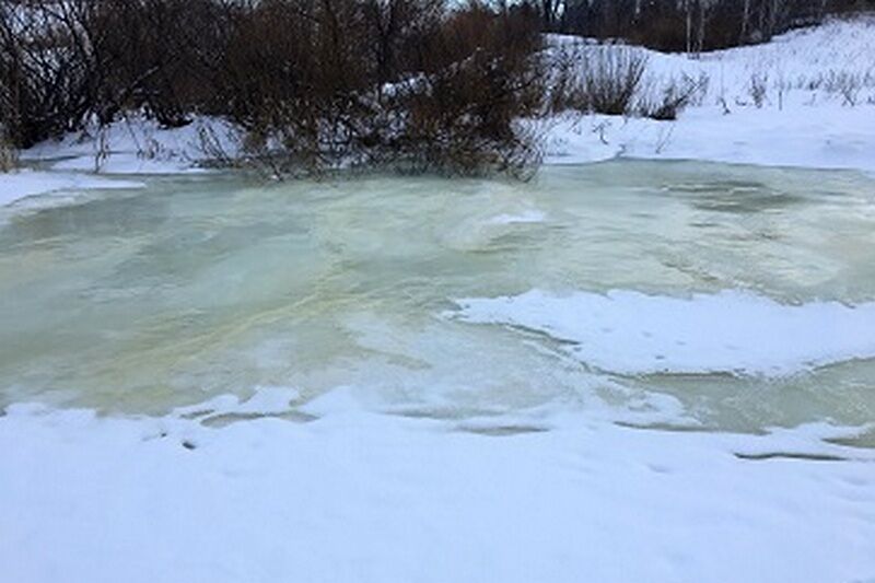 «Водный Союз» вновь выявил загрязнение Тобола под Курганом