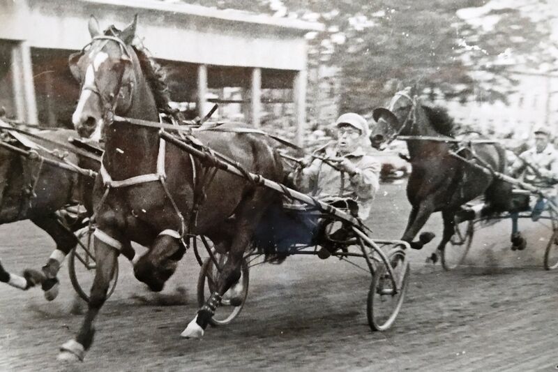 Курганец Анатолий Жикин вернулся в конный спорт, выйдя на пенсию