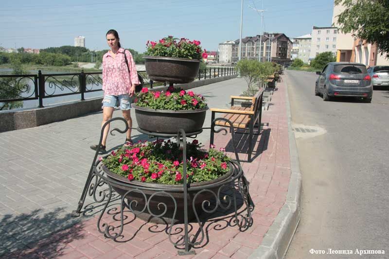 За неделю в Кургане выявлено 66 фактов незаконной парковки