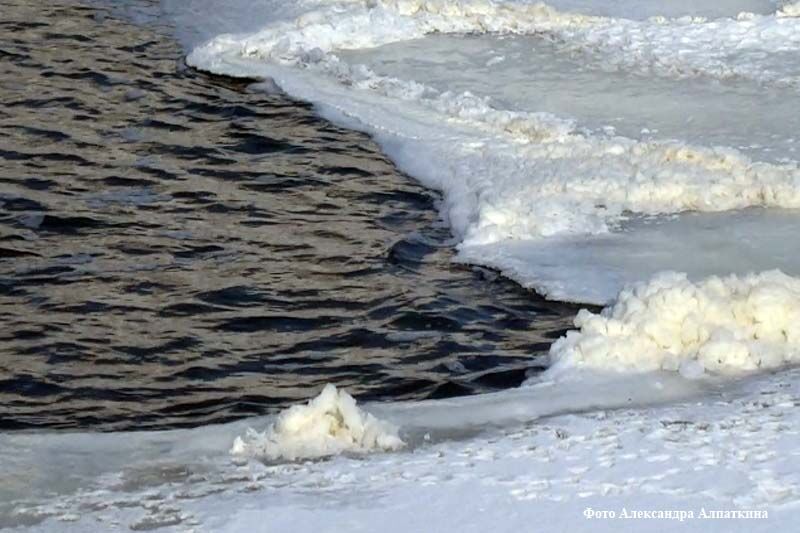 Путин наградил медалью курганца, спасшего двух провалившихся под лед детей