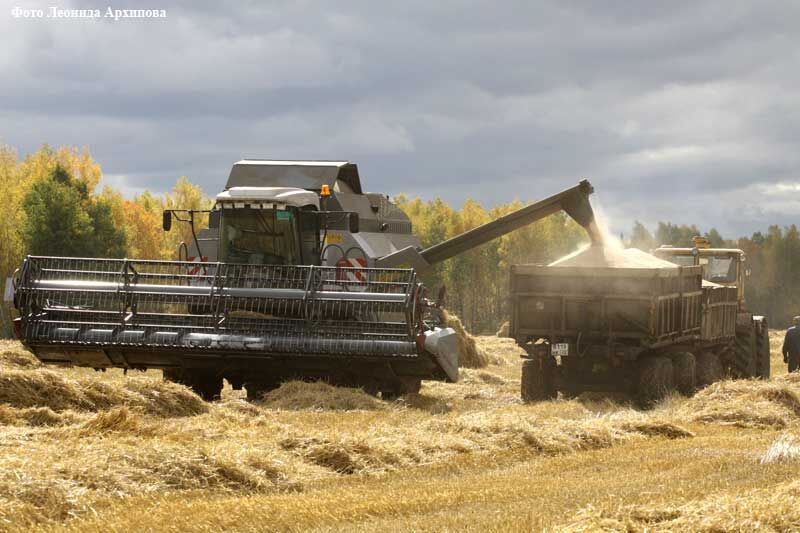 Край-труженик: Курганская область отмечает 80-летний юбилей