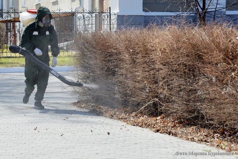 В Курганской области 22 человека заразились клещевым вирусным энцефалитом