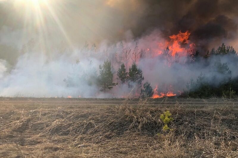 В Курганской области произошло 102 лесных и 526 ландшафтных пожаров