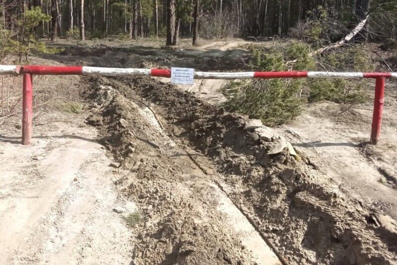 В Кургане продлён запрет на посещение лесов