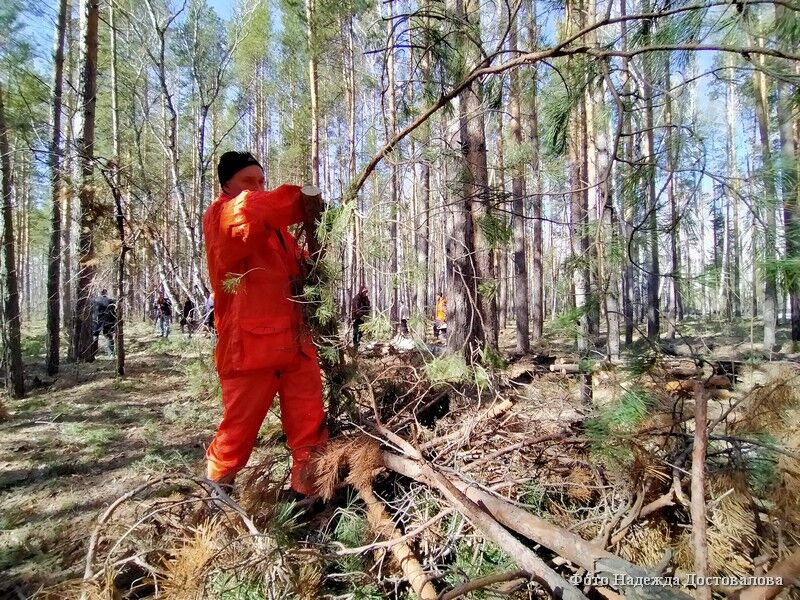 В Курганской области установлены даты начала пожароопасного сезона