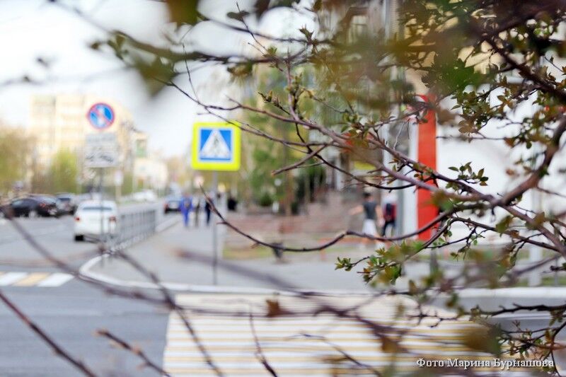 Курганцы голосуют за парки в Заозёрном
