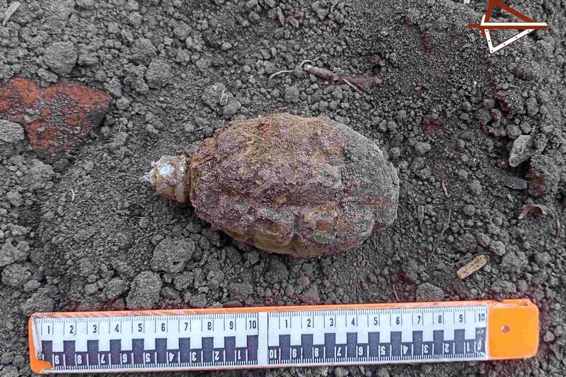 Зауралец случайно нашел на даче гранату и вызвал ОМОН