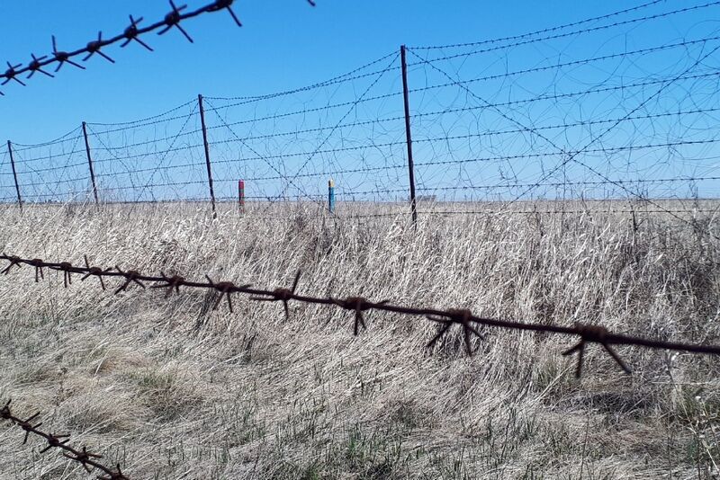 Трех находящихся в федеральном розыске граждан нашли в Зауралье