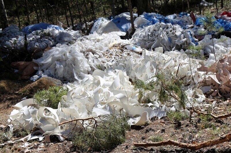 В Курганской области тариф на вывоз мусора будет ниже, чем планировалось