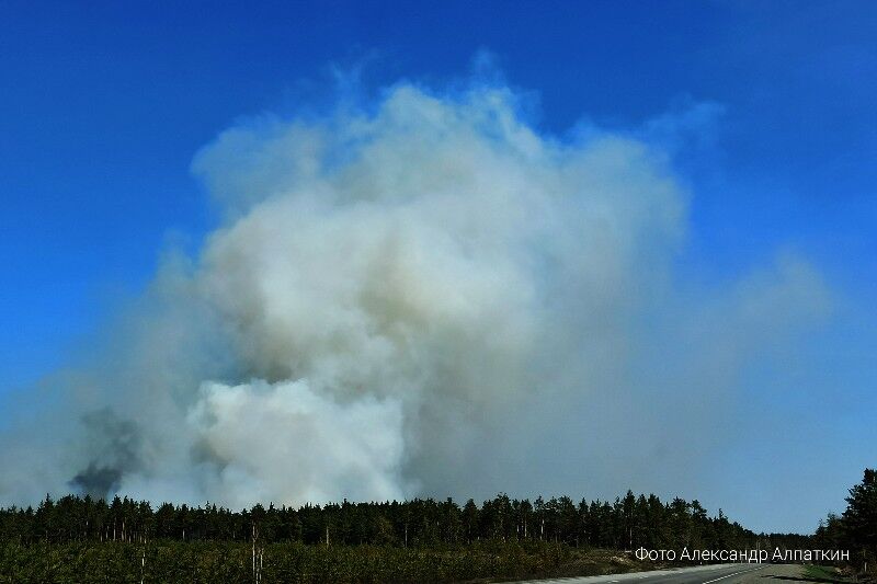 В пригороде Кургана идет ландшафтный пожар