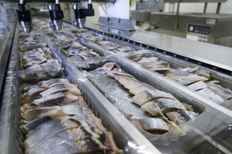 В Курганской области в три раза выросло производство селедки