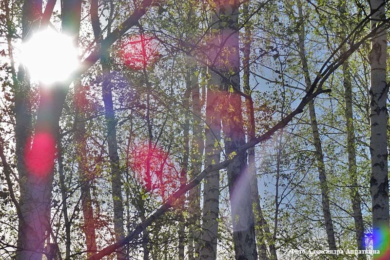 Мужское и женское: заметки о книгах курганских поэтов Екатерины Пермяковой и Виктора Воинкова