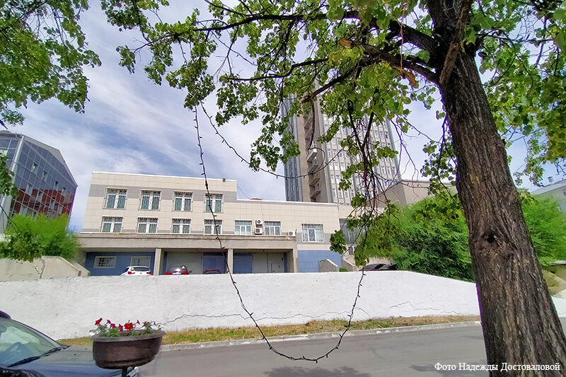 Как зеленые насаждения Кургана переживают засушливый сезон