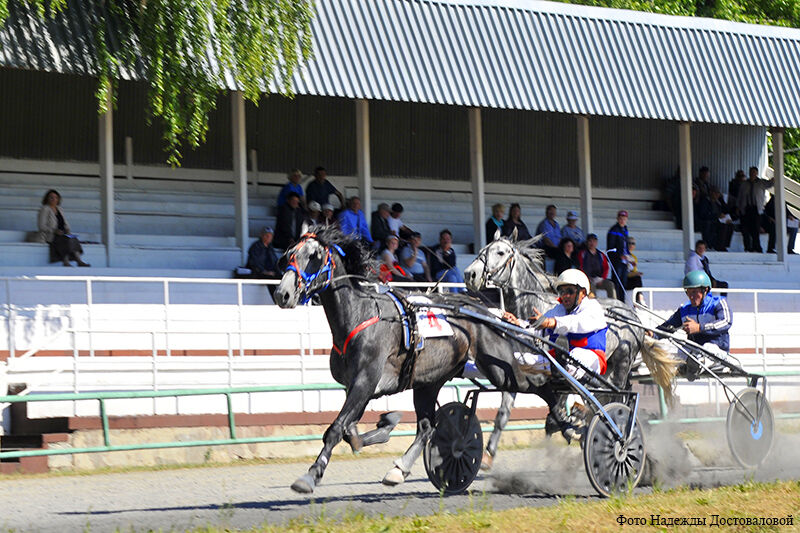 На Курганском ипподроме 5 июня открылся летний беговой сезон