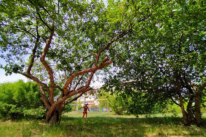 Детские «не хочу»