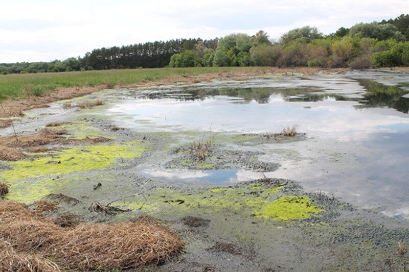 В Курганской области канализационные стоки затопили 25 тыс. кв. м
