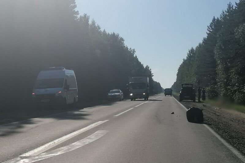 В Курганской области на трассе погибла пожилая женщина