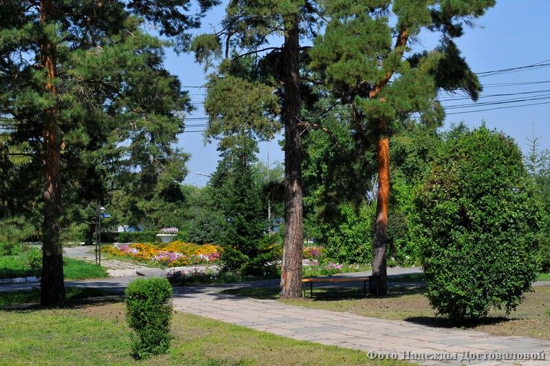 МЧС предупредило курганцев об аномальной жаре