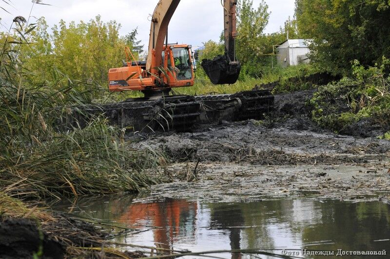 Экскаватор в курганском ЦПКиО сделал всю грязную работу