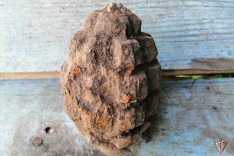 В Курганской области житель села нашел гранату на своем участке