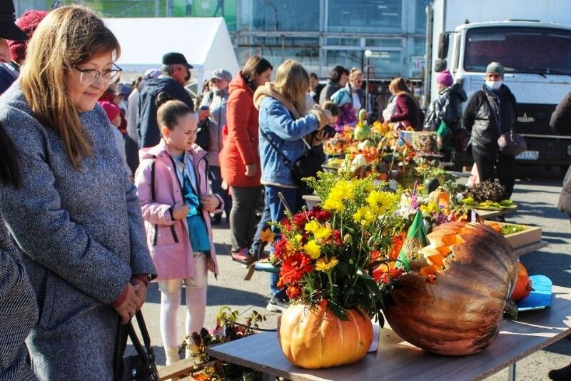 В Кургане проходит осенняя ярмарка 