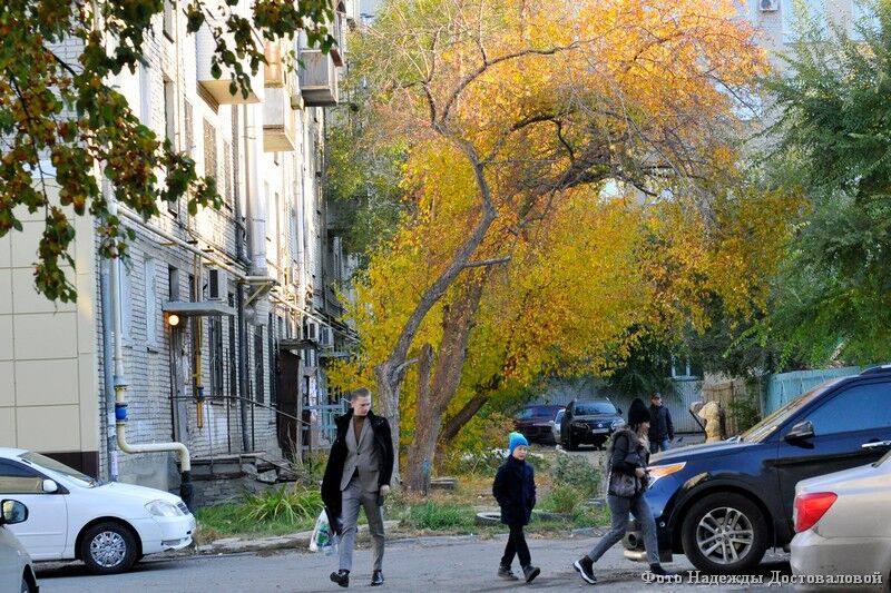 Больше половины россиян изменили отношение к китайским авто в лучшую сторону