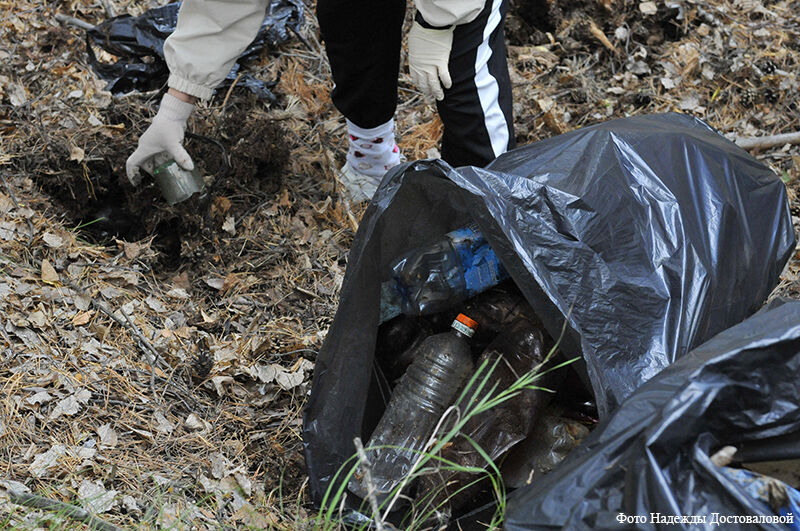 Курганцы на «Чистых играх» собрали тонну мусора