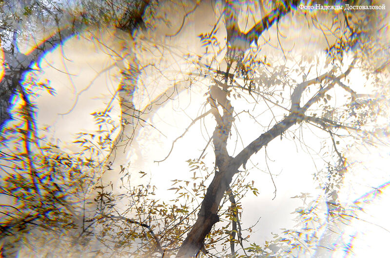 Курганцев приглашают на открытие выставки любительской фотографии