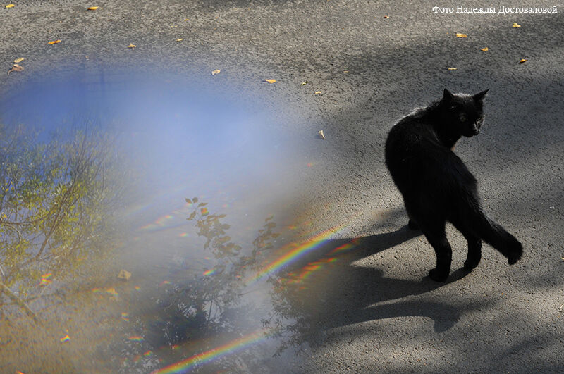 В Кургане объявлен фотоконкурс для старшего поколения