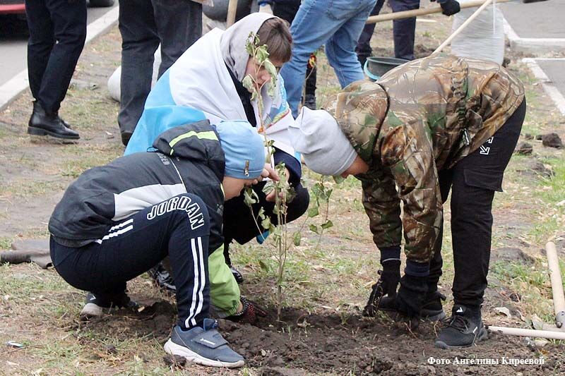 В Кургане активисты профсоюзов заложили тополиную аллею