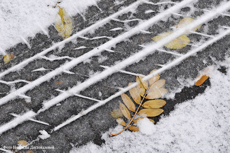 «Росгосстрах»: самая большая выплата по каско в этом году была за Bentley Bentaiga