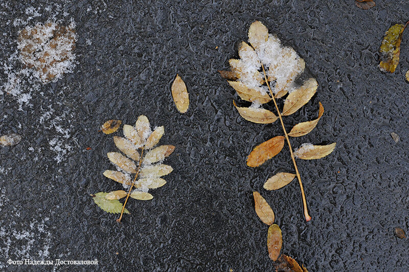 Психолог назвала действенные методы по борьбе с осенней тоской