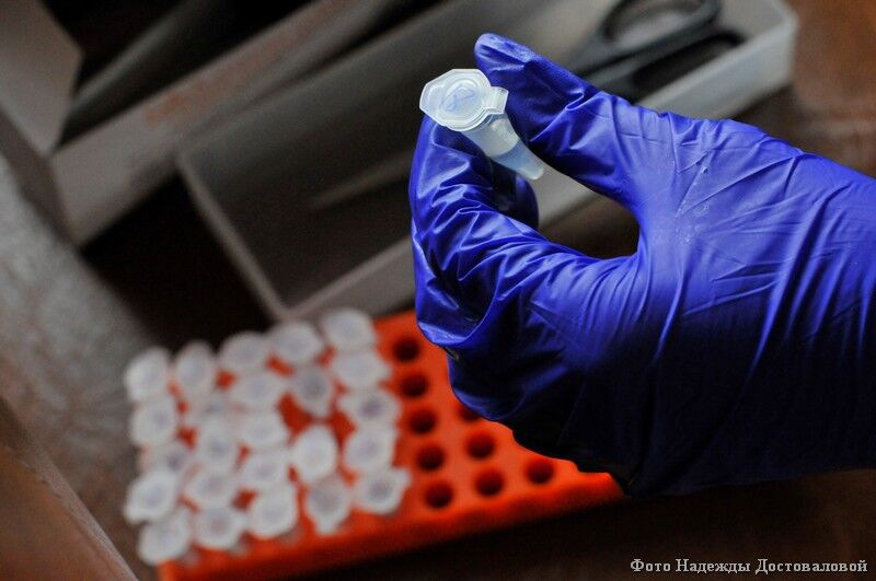 Оперативный штаб Курганской области по недопущению распространения коронавируса ввел новые ограничительные меры