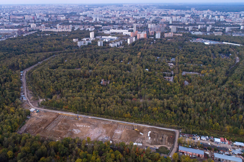 Городское благоустройство ценой заповедного парка