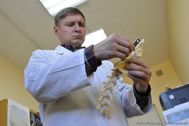 Новый ветеринарный госпиталь в Кургане готов принимать пациентов со всей России