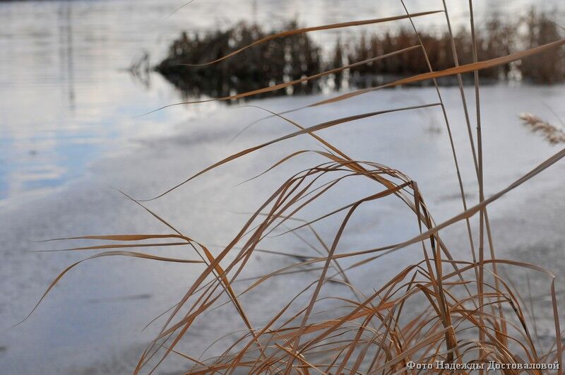 Курганские гидрометеорологи сообщили новые данные о паводке