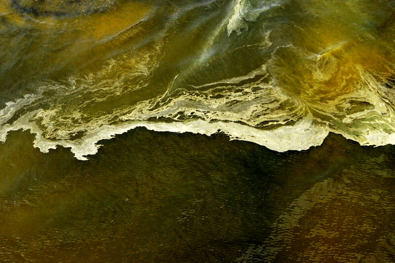 Почему Балтийское море превращается в озеро с мутантами