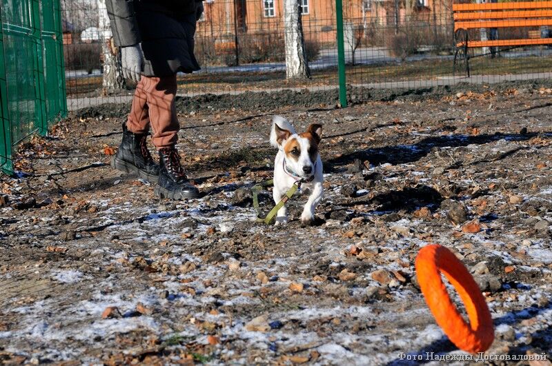 Нечеловеческое питание