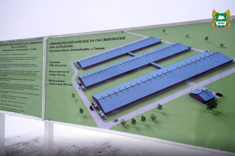 Курганцев завалят мясом