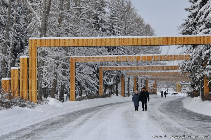 Курганцам рассказали, почему нужно больше гулять