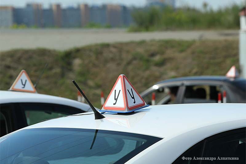 Жительница Кургана подделала заключение медкомиссии ради получения водительских
				прав