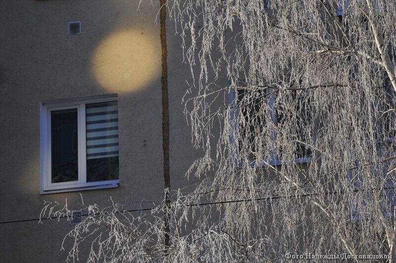 В Кургане отменили занятия учеников первого и второго классов второй смены