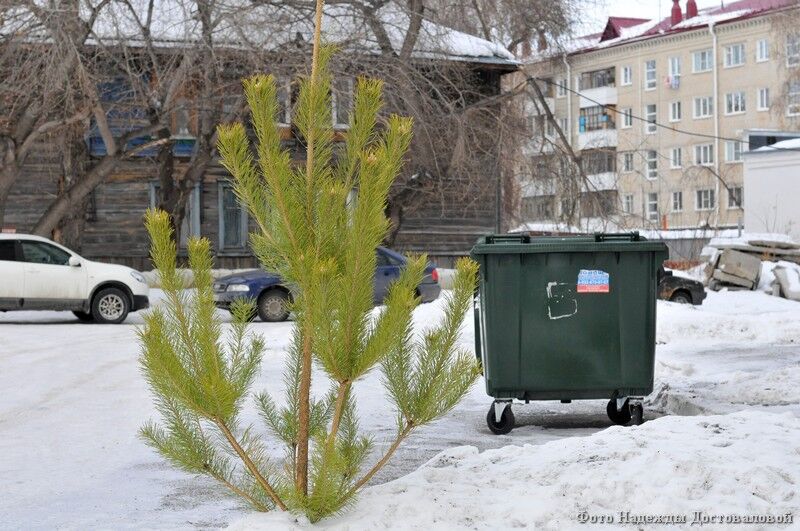 В Курганской области увеличится тариф на вывоз мусора